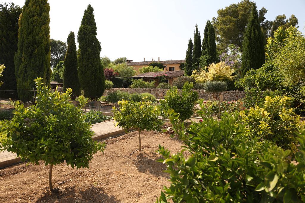 Oliver Moragues Grandhouse & Vineyard Algaida  Eksteriør billede